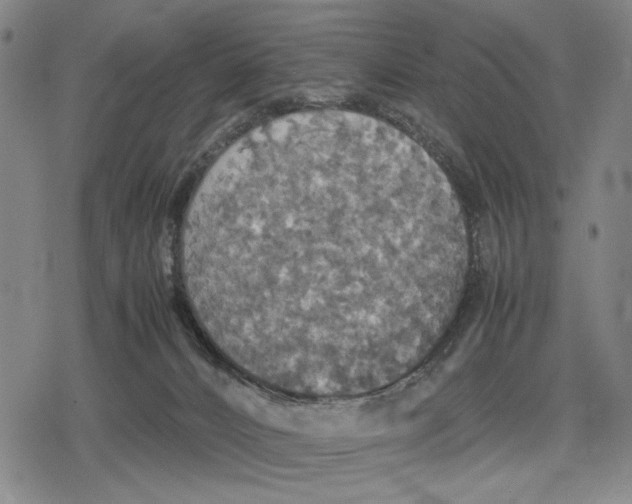 X0000079320032200612151828