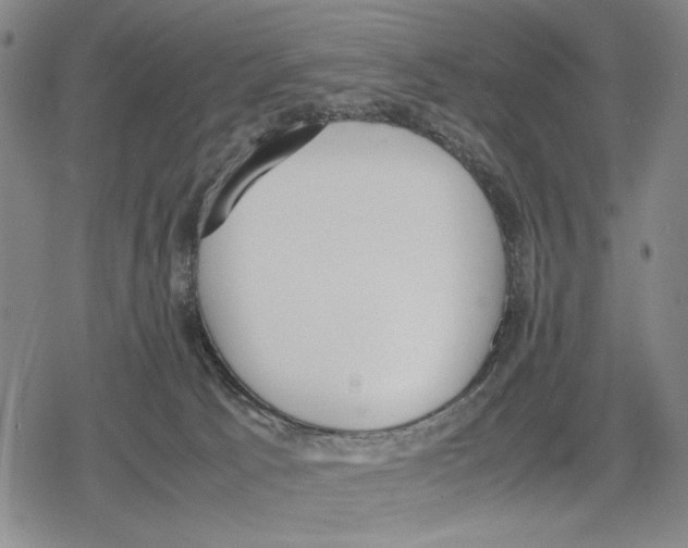 X0000079320033200612151828