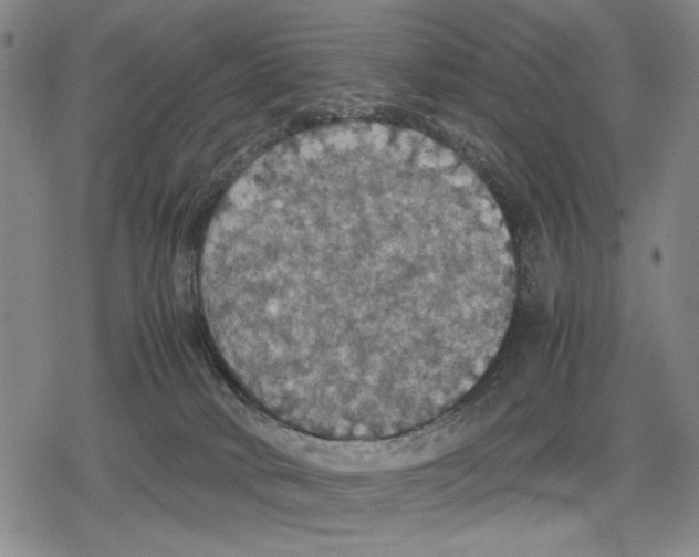 X0000079320034200612151828