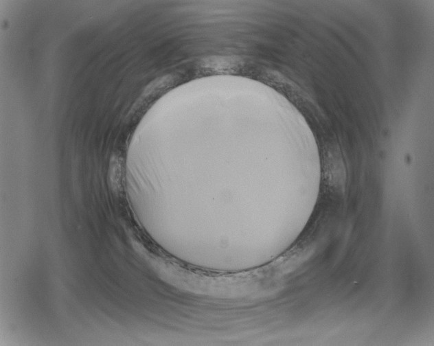 X0000079320036200612151828