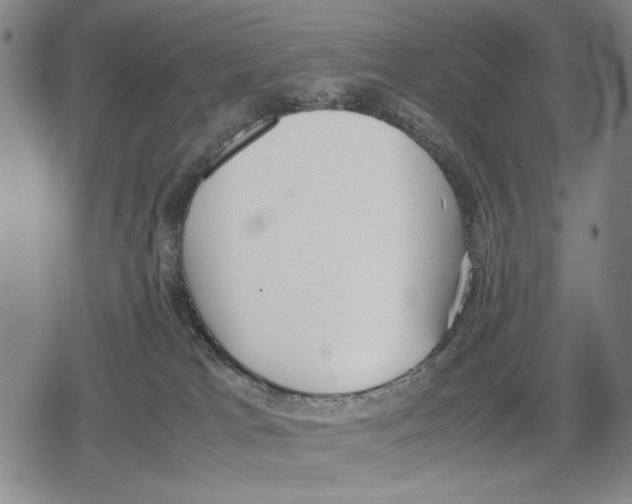 X0000079320037200612151828