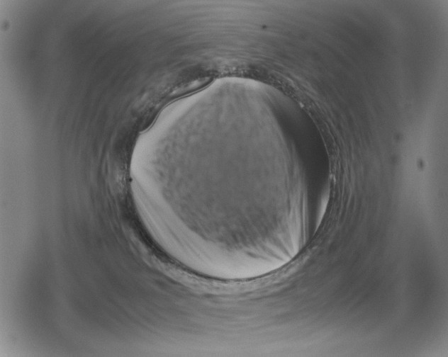 X0000079320039200612151828