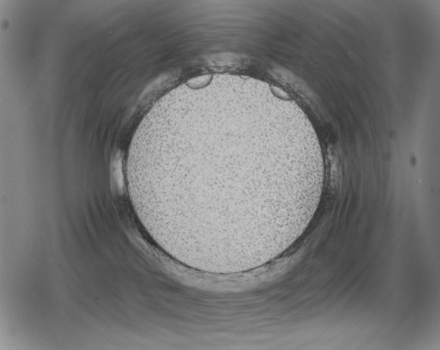 X0000079320042200612151828