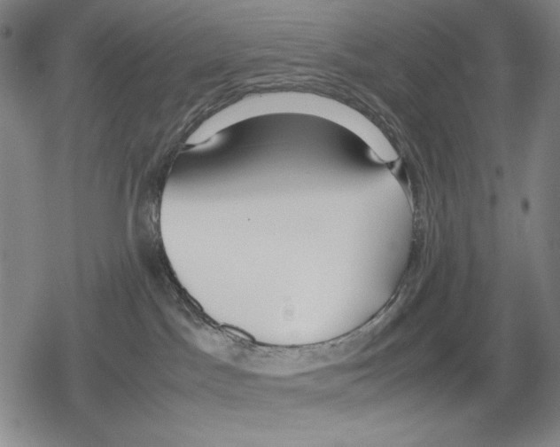 X0000079320045200612151828