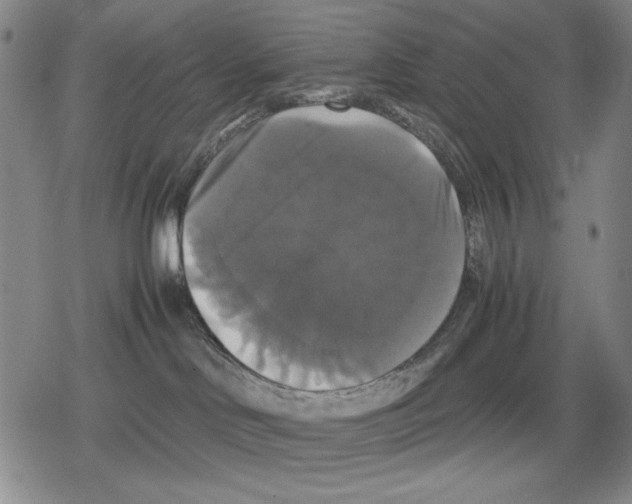 X0000079320046200612151828