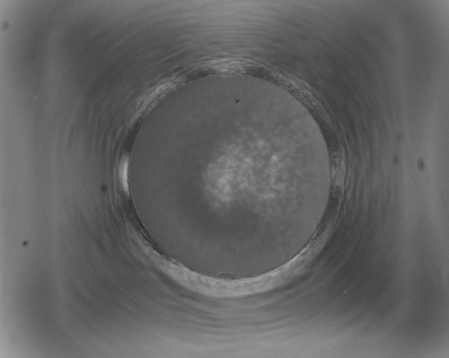 X0000079320047200612151828