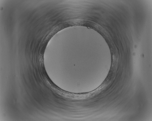 X0000079320048200612151828