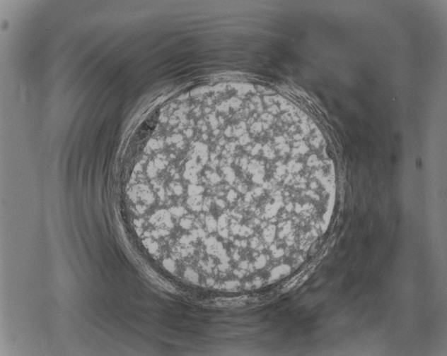 X0000079320049200612151827