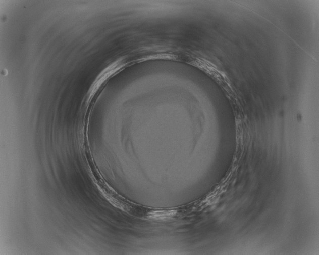 X0000079320051200612151827