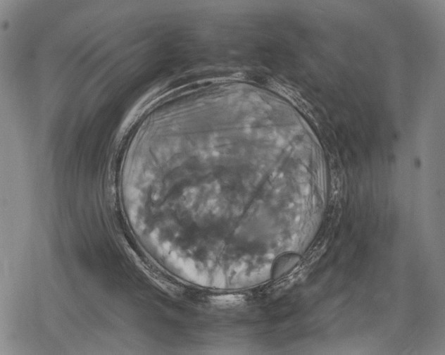 X0000079320053200612151827