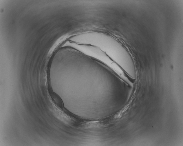 X0000079320054200612151827