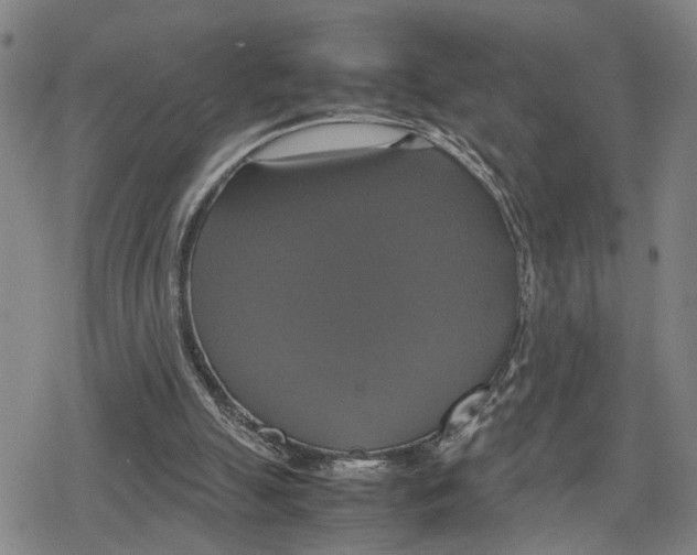 X0000079320055200612151827