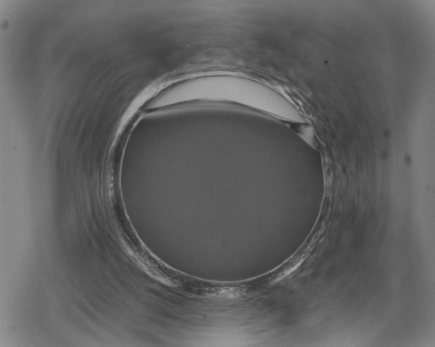 X0000079320056200612151827