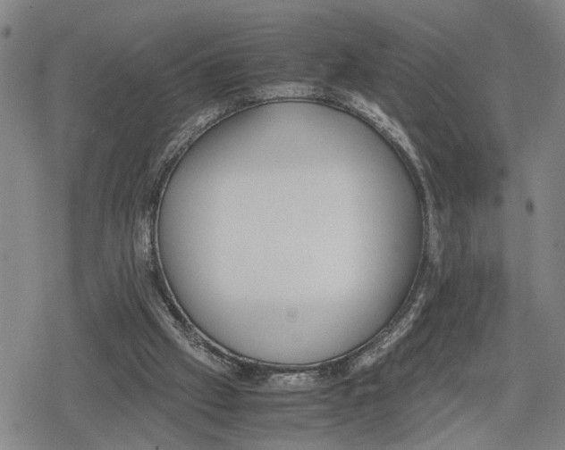 X0000079320057200612151827