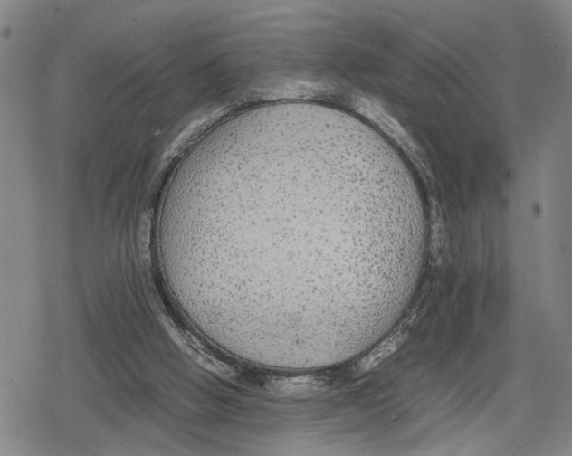 X0000079320058200612151827