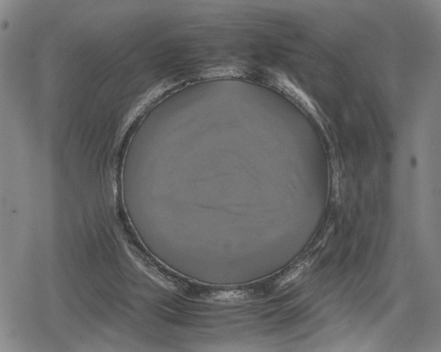 X0000079320059200612151827