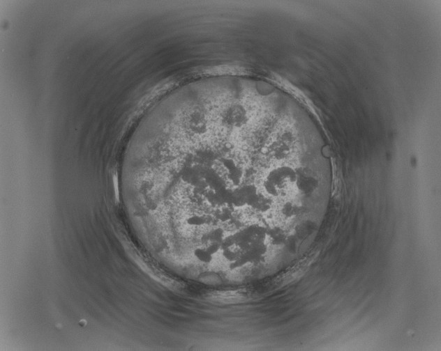 X0000079320061200612151827