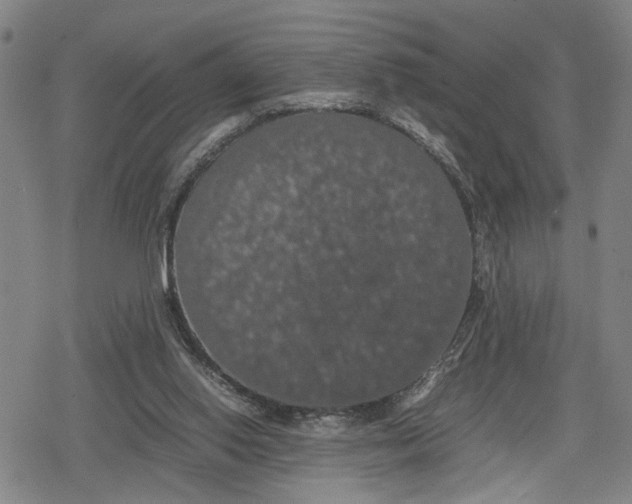 X0000079320062200612151827