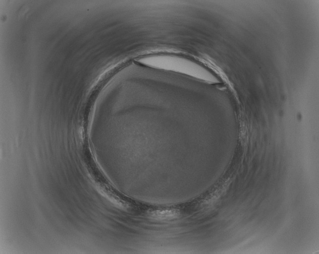 X0000079320063200612151827