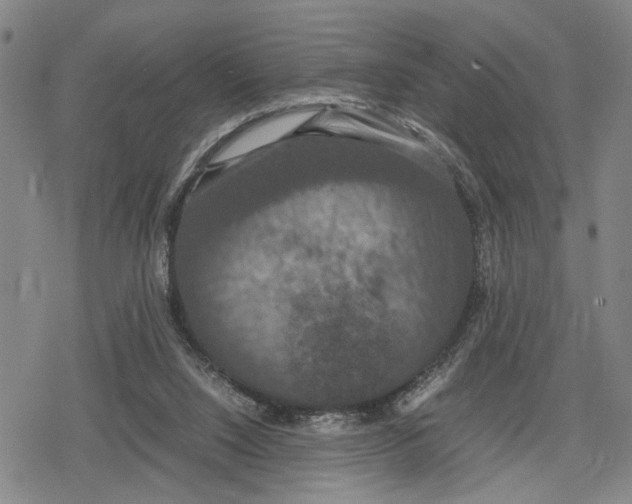 X0000079320064200612151827