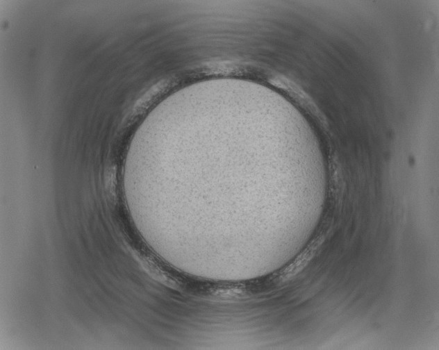 X0000079320066200612151827