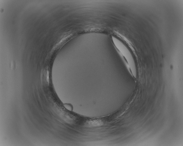 X0000079320067200612151828