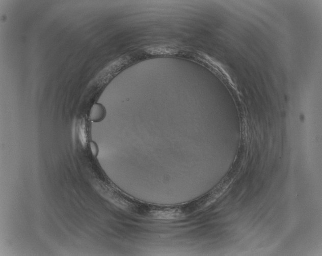 X0000079320069200612151828