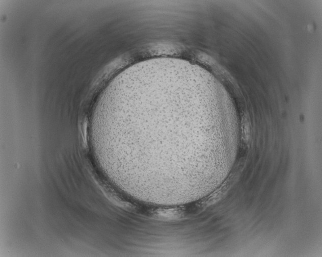 X0000079320070200612151828