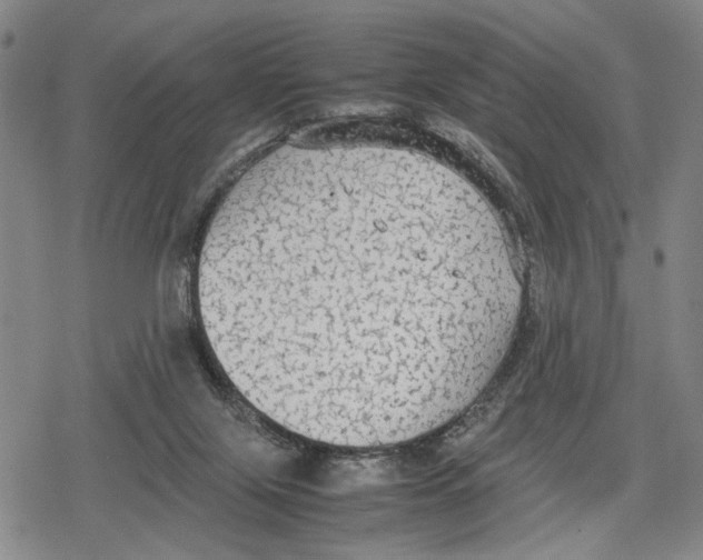 X0000079320071200612151828