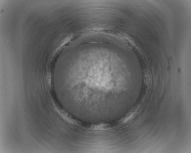 X0000079320072200612151828