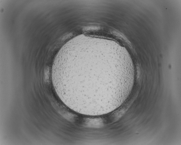 X0000079320073200612151828