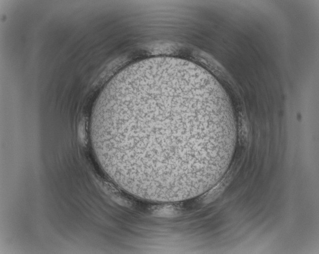 X0000079320074200612151828