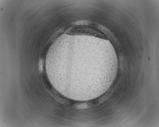 X0000079320075200612151828