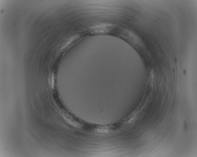 X0000079320076200612151828