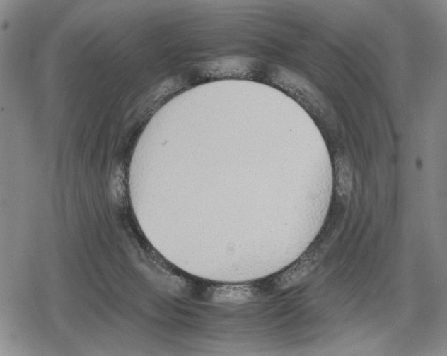 X0000079320077200612151828