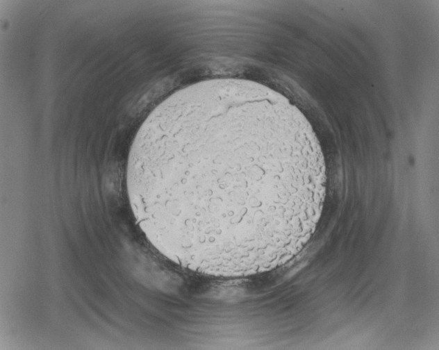 X0000079320078200612151828