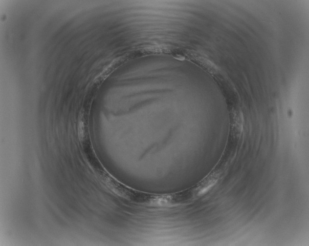 X0000079320080200612151828