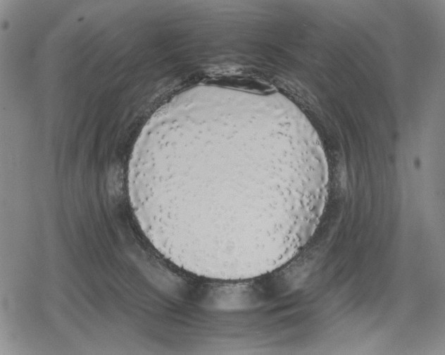 X0000079320081200612151828