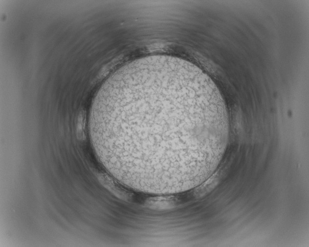 X0000079320082200612151828