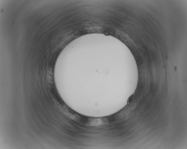 X0000079320083200612151828