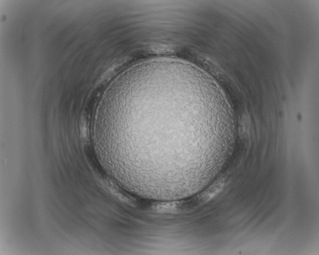 X0000079320084200612151828