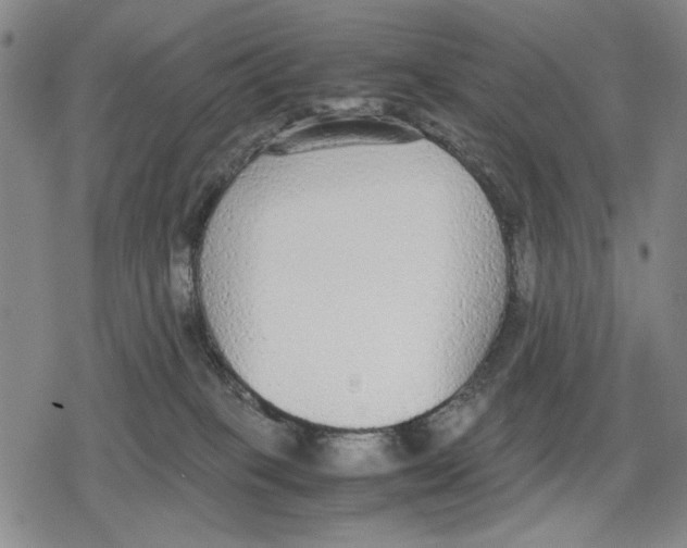 X0000079320085200612151828