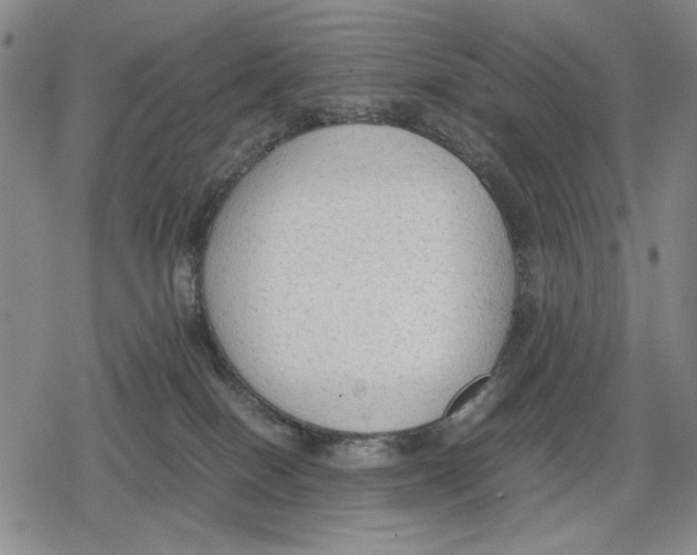 X0000079320086200612151828