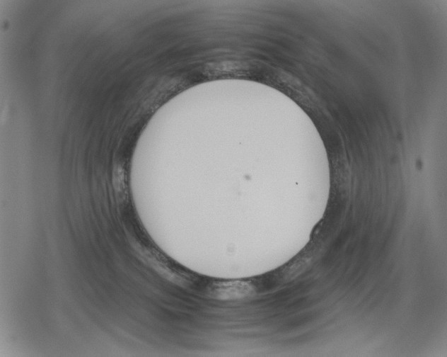 X0000079320087200612151828