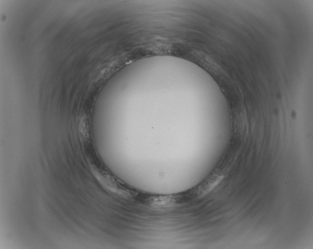 X0000079320088200612151828