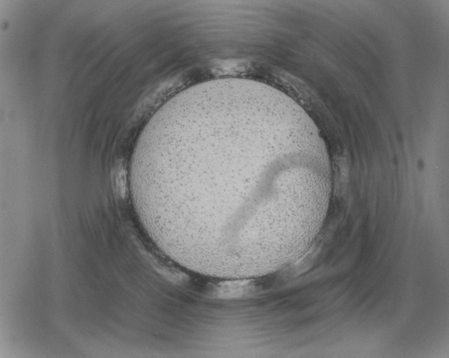 X0000079320090200612151828