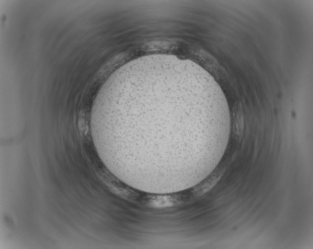 X0000079320091200612151828