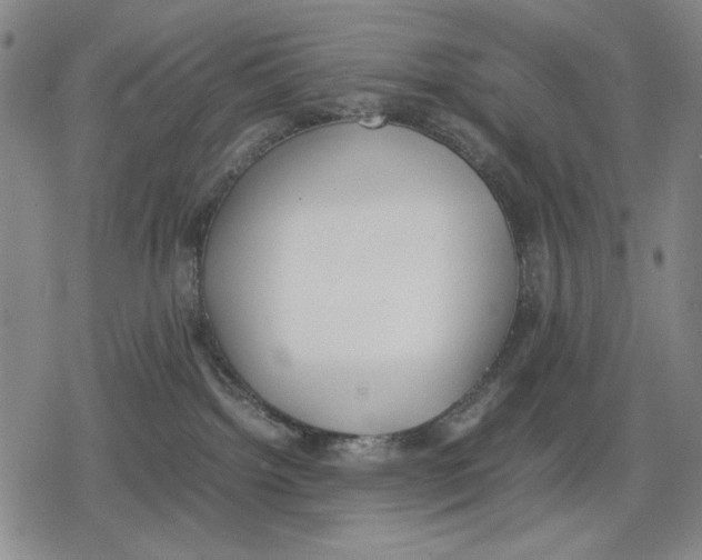 X0000079320092200612151828