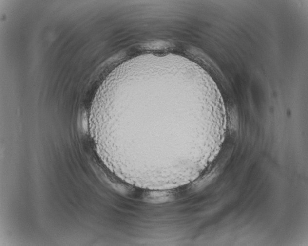 X0000079320095200612151828