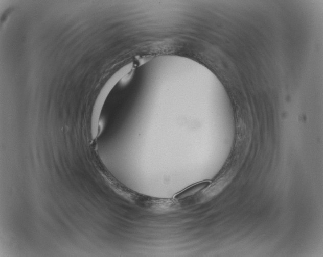 X0000079320096200612151828